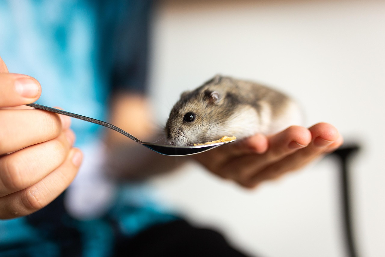 alles rund um die pflege und das wohlbefinden ihrer haustiere – tipps, produkte und ratschläge für eine optimale tierbetreuung.
